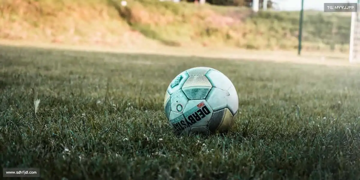 为什么选择我们